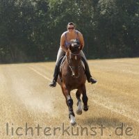 Pferd und Reiter 6609